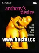 2021AV天堂网手机版高清